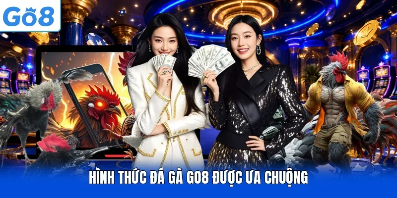 Hình thức đá gà GO8 được ưa chuộng